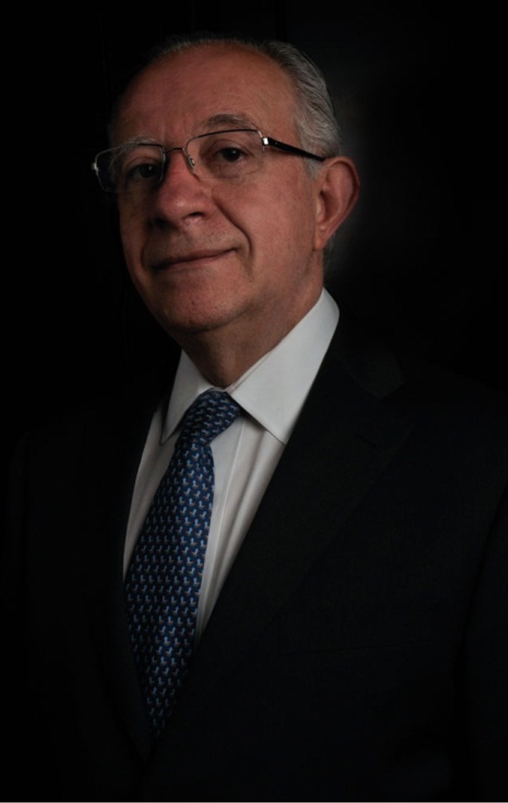 Francisco Javier Arce Gargollo