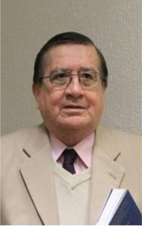 Rolando Tamayo y Salmorán